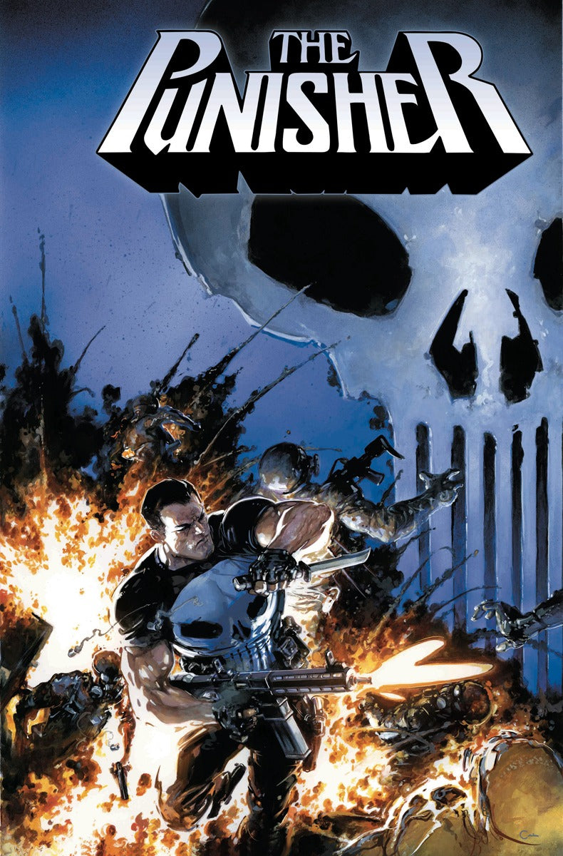 Punisher Vol 12 1