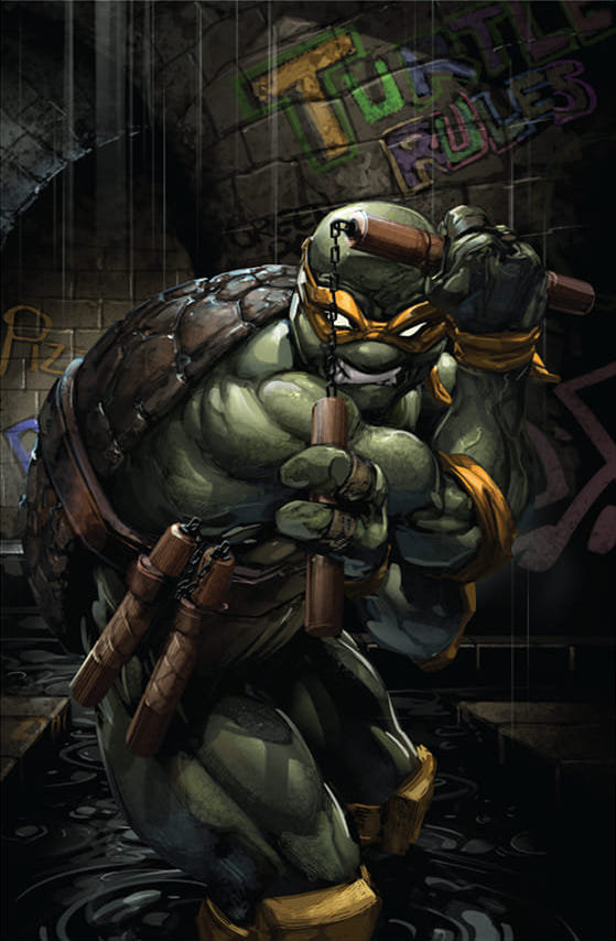 Teenage Mutant Ninja Turtles: The Armageddon Game #1