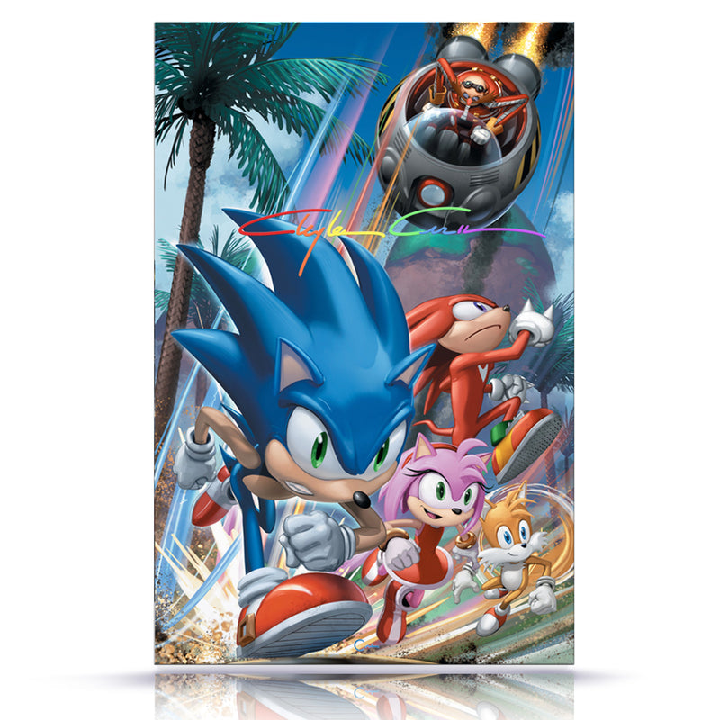 Infinity Signature Sonic the Hedgehog #1 Anniversary Edition NYCC Exclusive LTD 300 w/coa